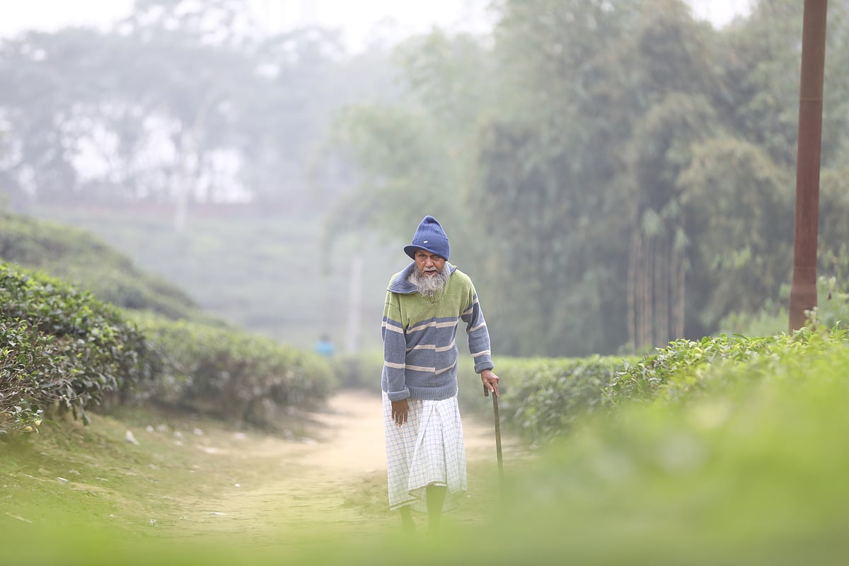 মাঘের শীতে জনজীবনে স্থবিরতা। কনকনে ঠান্ডায় সবচেয়ে বেশি ভোগান্তিতে পড়েন প্রবীণেরা। মাঘের শীতে জবুথবু হয়ে চা-বাগানের রাস্তায় হাঁটছেন এক ব্যক্তি। ছবিটি গতকাল বুধবার সিলেট শহরতলির লাক্কাতুরা চা-বাগান থেকে তোলা