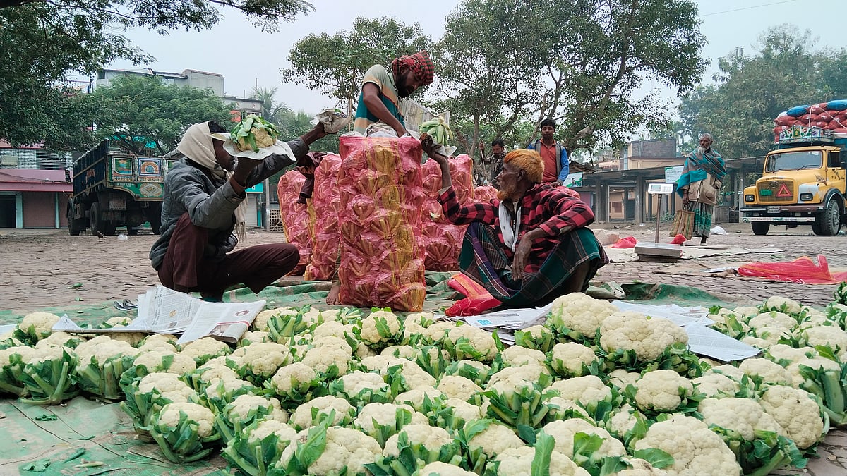 যশোরে উৎপাদিত ফুলকপি ঢাকাসহ সারা দেশে পাঠানোর কাজে ব্যস্ত ব্যাপারী ও শ্রমিকেরা। গতকাল বৃহস্পতিবার দুপুরে যশোরের বারীনগর মোকামে
