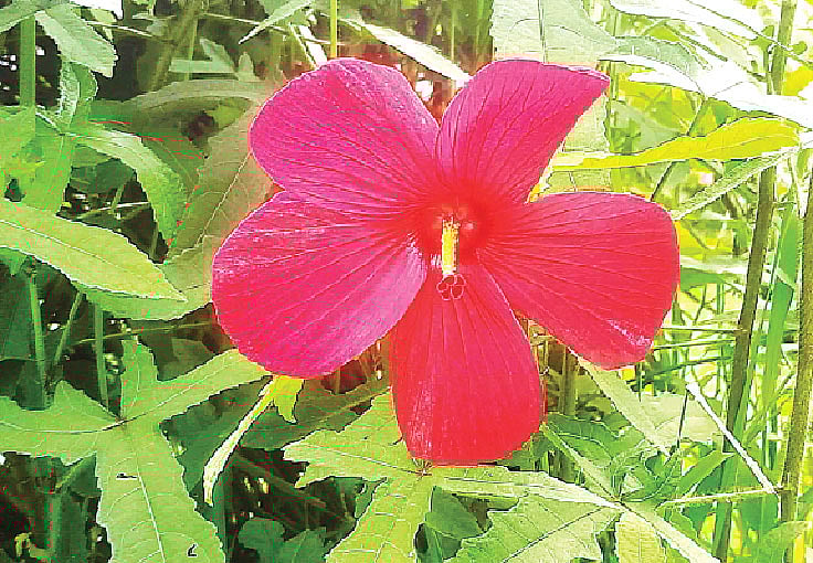 Anastasiya Zovorotnyuk jinsiy aloqada.