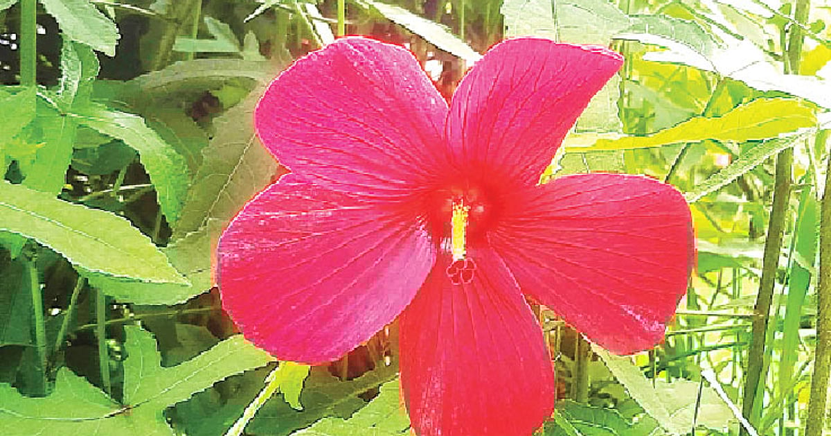 Chiroyli yalangoch yosh tanalar Anastasiya Zovorotnyuk jinsiy aloqada.