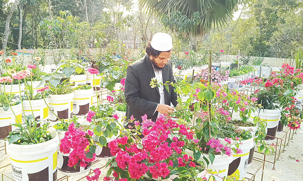 ছাদবাগানে ফুলের হাসি। ১৪ ফেব্রুয়ারি মৌলভীবাজারের বড়লেখা উপজেলা কৃষি কর্মকর্তার কার্যালয়ের ছাদে