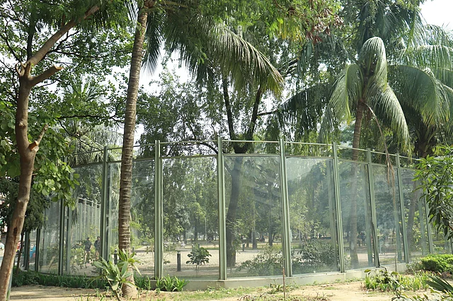 Filmlar va videolardagi eng yaxshi jinsiy aloqa sahnalari