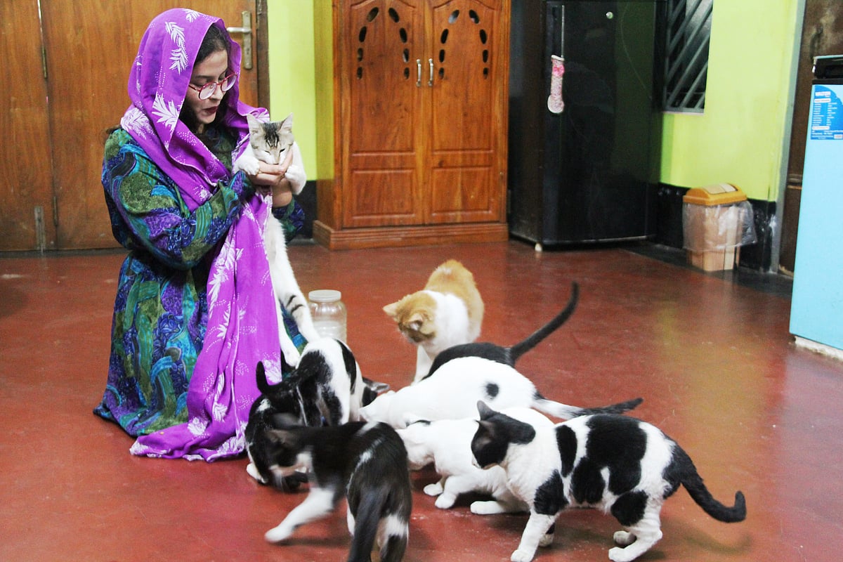 বাড়িতে পোষা বিড়ালের সঙ্গে মারিয়াম বিনতে জাহাঙ্গীর। মঙ্গলবার দুপুরে চুয়াডাঙ্গা শহরের পুরাতন হাসপাতালপাড়ায়