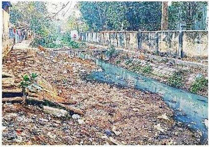 রংপুরের ধাপ সিটি বাজারসংলগ্ন শ্যামাসুন্দরীর অবস্থা দেখে মনে হবে, এটা একটা ভাগাড়