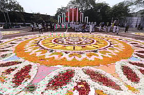 ভাষা নিয়ে ভাসা–ভাসা কথা: ভাষা দিবস ও রাজনীতির ভাষা