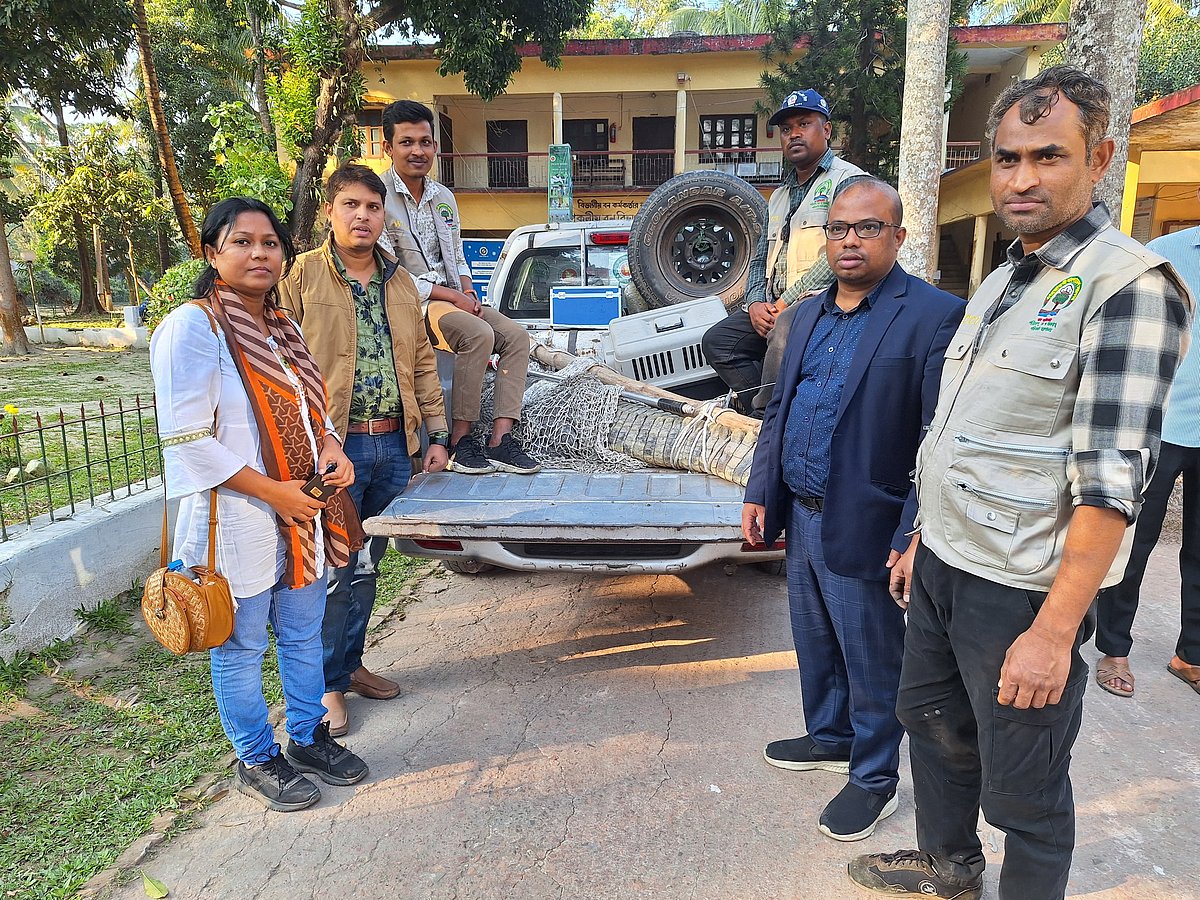 প্রায় ৩৫ বছর ধরে অবৈধভাবে আটকে রাখা লোনাপানির কুমিরটা উদ্ধার করা হয়েছে। শনিবার বিকেলে নোয়াখালীর উপকূলীয় বন বিভাগের কার্যালয় প্রাঙ্গণে