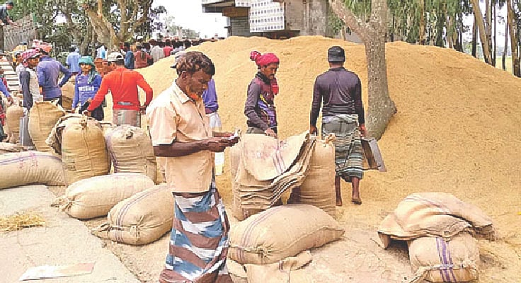 ধান উৎপাদনে এগিয়ে রয়েছেন নওগাঁ জেলার কৃষকেরা