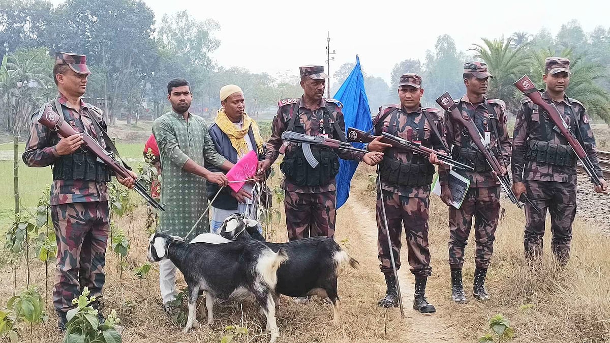 বিজিবি-বিএসএফ পতাকা বৈঠকের পর ছাগলগুলো ফেরত দেয় বিএসএফ। পরে স্থানীয় কাউন্সিলরের মাধ্যমে ছাগলগুলো মালিককে ফেরত দেয় বিজিবি। মঙ্গলবার দুপুরে