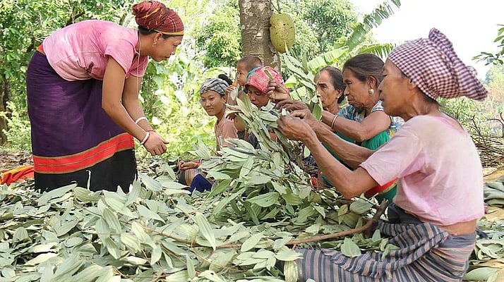 পুরুষতান্ত্রিকতার আধিপত্য কেবল পরিবার, সমাজ, রাষ্ট্র বা রাজনীতিতে নয়—এই আধিপত্য ধর্মীয় ক্ষেত্রেও প্রবলভাবে বিদ্যমান।