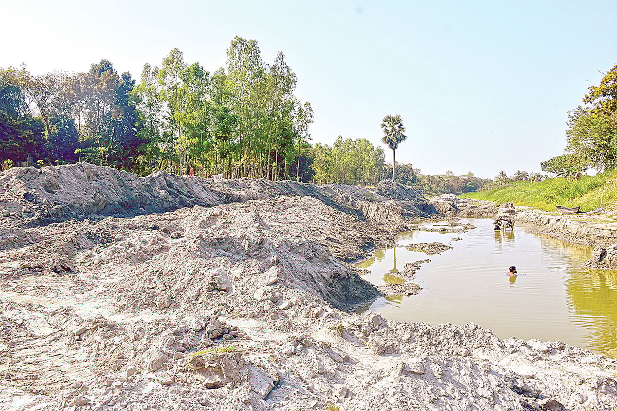 মানিকগঞ্জের শিবালয়ে ইছামতী নদী থেকে মাটি কেটে অবাধে বিক্রি করা হচ্ছে। গত রোববার দুপুরে উপজেলার কাতরাসিন গ্রামে।