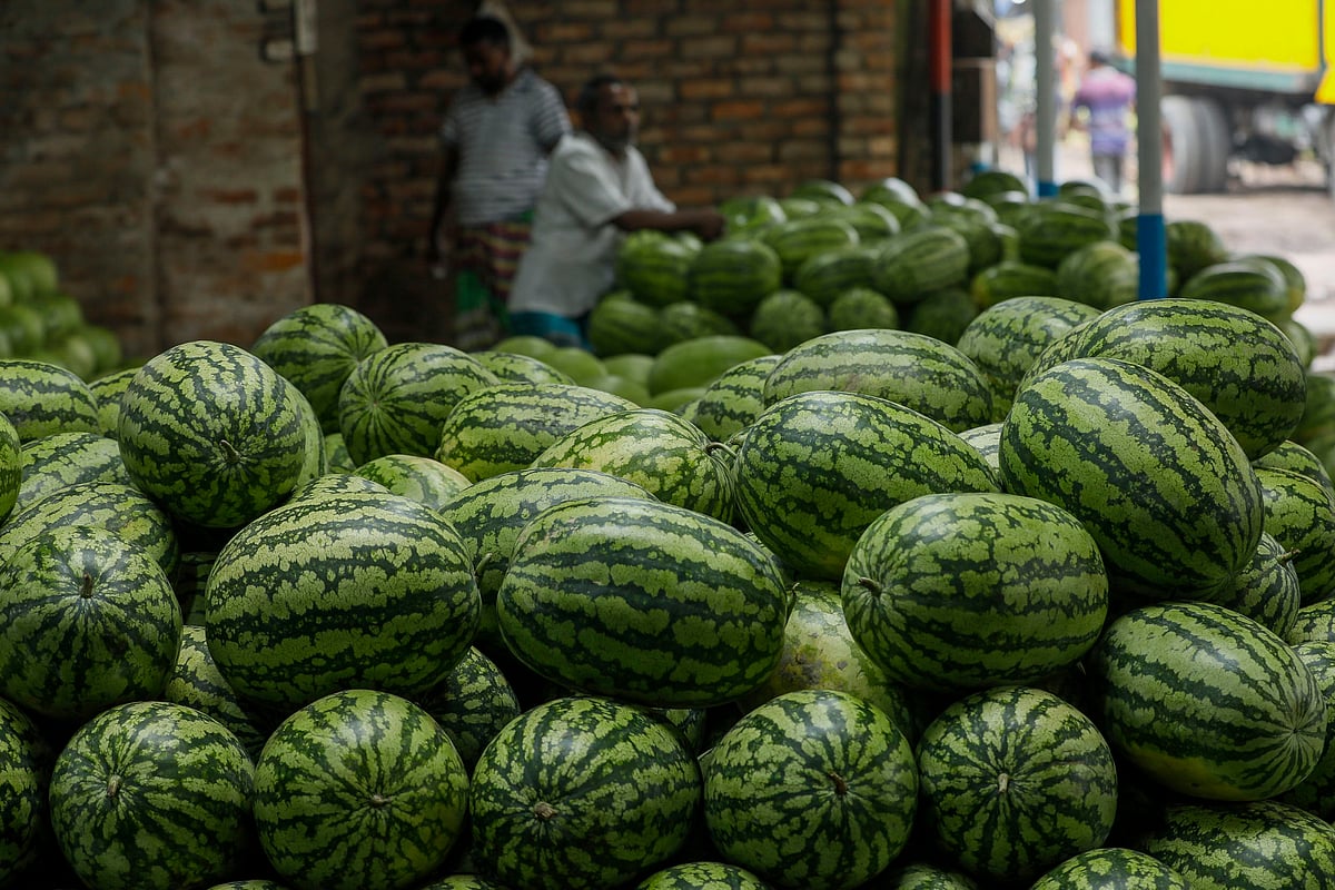 তরমুজ