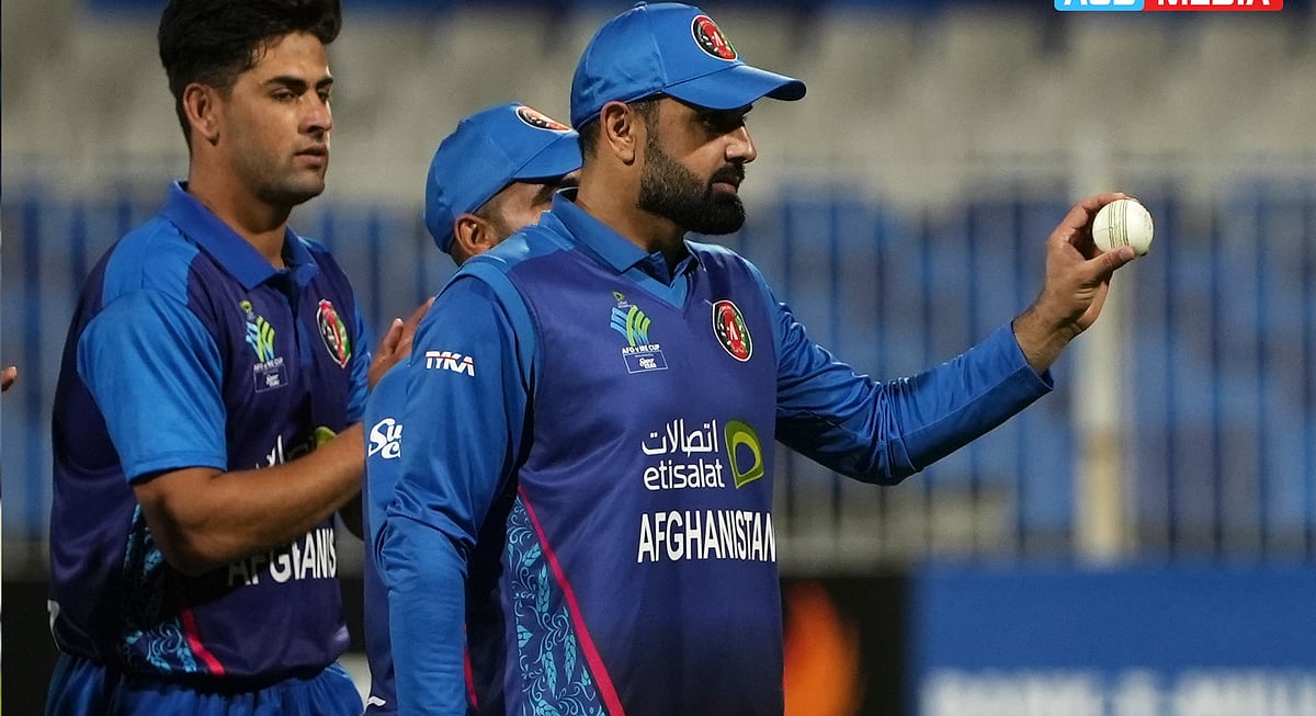 প্রথমবারের মতো ৫ উইকেট পেয়েছেন নবী