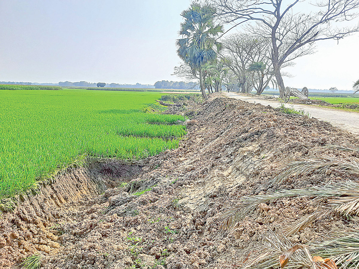 ঝিনাইদহের কোটচাঁদপুরে সড়ক উন্নয়নকাজে এভাবে দুই পাশের ফসলের খেত থেকে মাটি কাটা হয়েছে। গতকাল উপজেলার তালিনা গ্রামের মাঠে