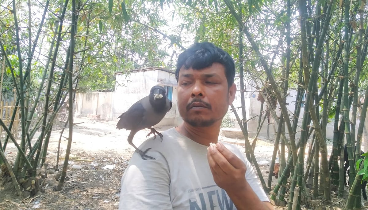 কাকের সঙ্গে বেশ সখ্য রাজশাহীর পবা উপজেলার বেলঘরিয়া গ্রামের নেকবরের