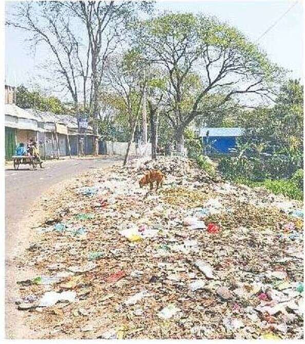 ফরিদপুরের নগরকান্দা পৌরসভায় সড়কের পাশে বর্জ্য ফেলা হচ্ছে। নগরকান্দা বাজারের কলেজ বালিয়া মহল্লায় গতকাল বিকেলে