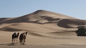সবুজ সাহারা যেভাবে মরুভূমি হলো