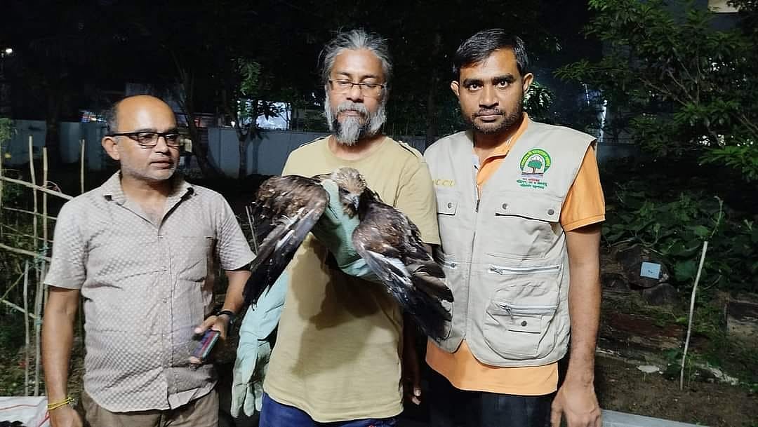 উদ্ধার করা ভুবন চিলটিকে বন বিভাগের কাছে হস্তান্তর করা হয়েছে। আজ মঙ্গলবার সন্ধ্যায় মৌলভীবাজারের শ্রীমঙ্গলে বন বিভাগের রেঞ্জ কার্যালয়ে