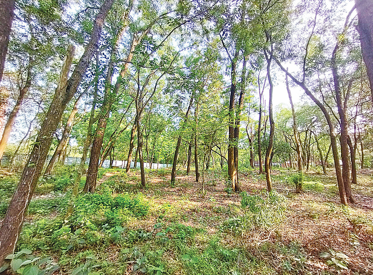জাহাঙ্গীরনগর বিশ্ববিদ্যালয়ে জীববিজ্ঞান অনুষদের সম্প্রসারিত ভবন নির্মাণের জন্য বেছে নেওয়া হয় এই জায়গা। রোববার বিকেলে