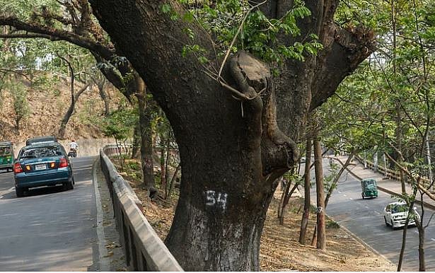পরিবেশের ন্যুনতম ক্ষতি করে বানানো হয়েছিল দেশের একমাত্র দ্বিতল সড়কটি।  সিআরবি এলাকা, চট্টগ্রাম