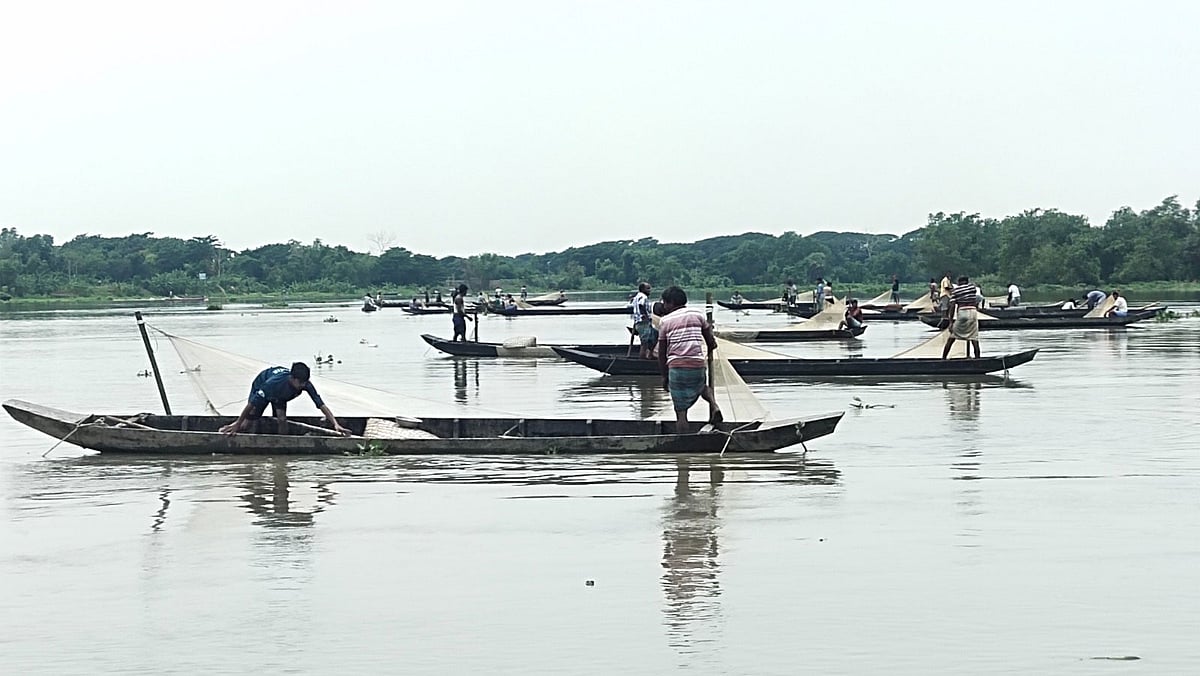 হালদা নদীতে নমুনা ডিম ছেড়েছে মা মাছ। জাল পেতে ডিম ধরছেন সংগ্রহকারী। আজ দুপুর সাড়ে ১২ টায় রাউজানের আজিমেরঘাটে