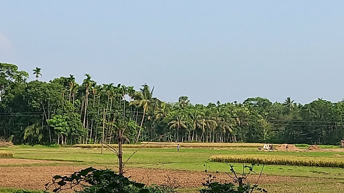 প্রস্তাবিত স্টেডিয়ামের জন্য কৃষিজমি অধিগ্রহণ করা হলে কৃষকেরা ভূমিহীন হয়ে যাবেন।