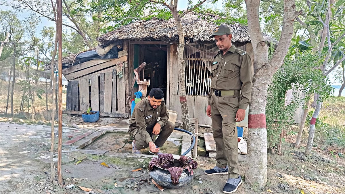সুন্দরবনে বন বিভাগের টহল ফাঁড়ির টিউবওয়েলের পাশে হাঁড়িতে মৌমাছির জন্য ভরে রাখা হয়েছে পানি। সেখান থেকে পানি সংগ্রহ করছে মৌমাছির দল। ৭ মে সুন্দরবনের ভেতরে বজবজা টহল ফাঁড়িতে