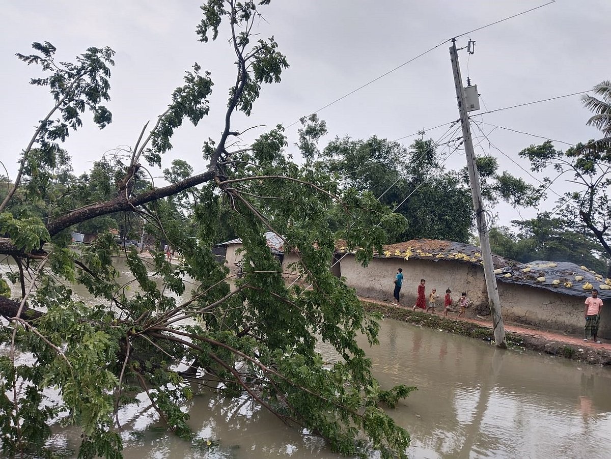 রিমালের প্রভাবে ঝোড়ো হাওয়ায় গাছ উপড়ে পড়ে পল্লী বিদ্যুতের তার ছিঁড়ে গেছে। হোয়ানক এলাকা, মহেশখালী, কক্সবাজার, ২৭ মে