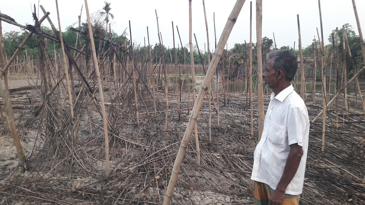 পুড়ে যাওয়া পানের বরজের সামনে নির্বাক দাঁড়িয়ে আছেন এক কৃষক। গতকাল সোমবার রাজশাহীর বাগমারা উপজেলার পোড়াকয়া গ্রামে