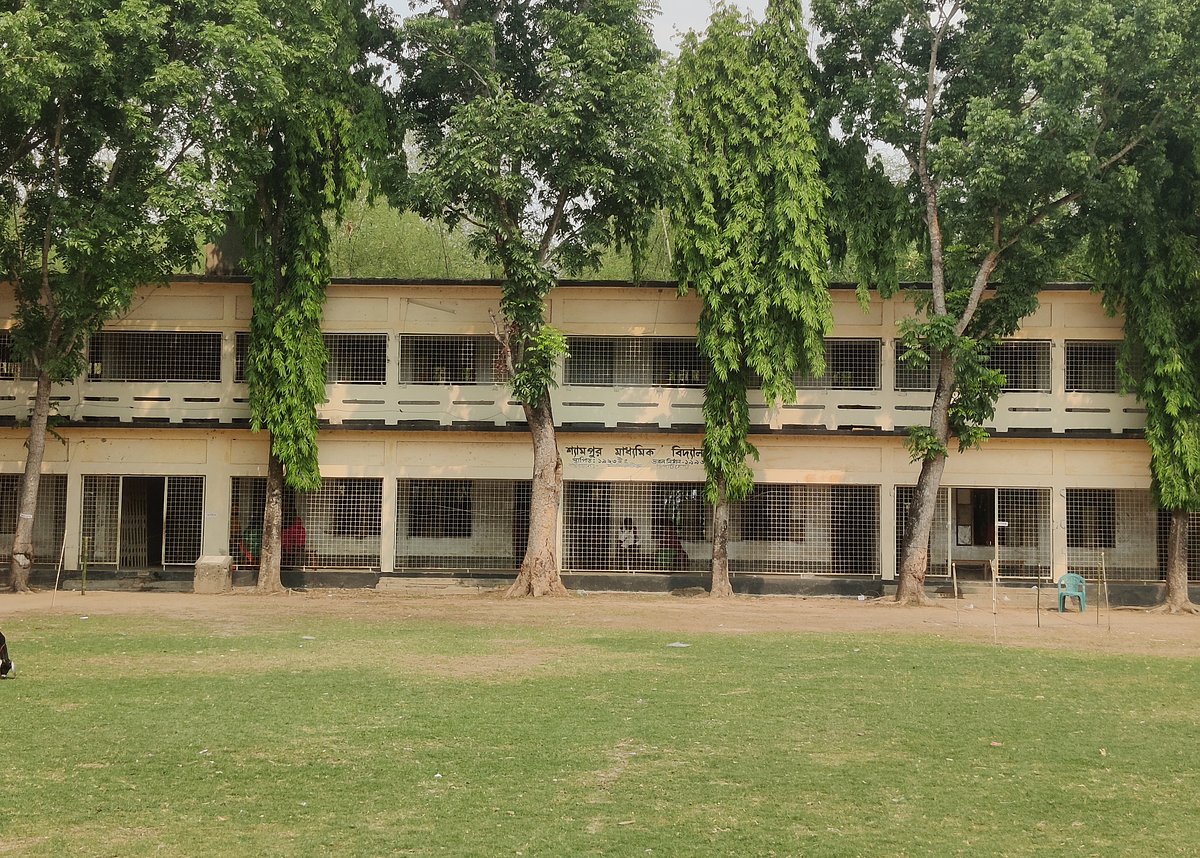 কুষ্টিয়ার দৌলতপুর উপজেলার শ্যামপুর মাধ্যমিক বিদ্যালয় ভোটকেন্দ্রে গিয়ে হাতে গোনা কয়েকজন ছাড়া কোনো ভোটারকে দেখা যায়নি। মঙ্গলবার বেলা দুইটার দিকে