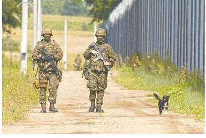 অভিবাসী স্রোত ঠেকাতে সীমান্তে বেড়া নির্মাণ করছে পোল্যান্ড