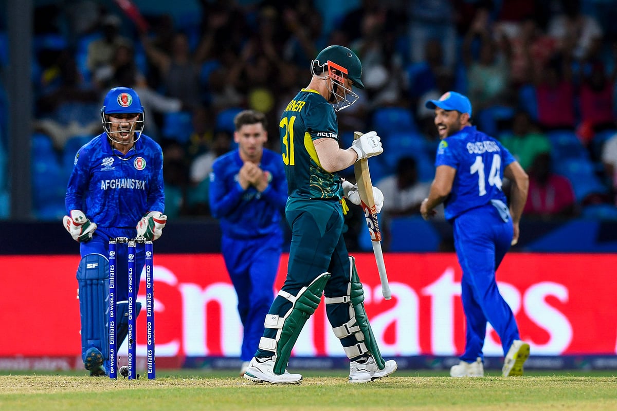 ওয়ার্নারকে আউট করার পর