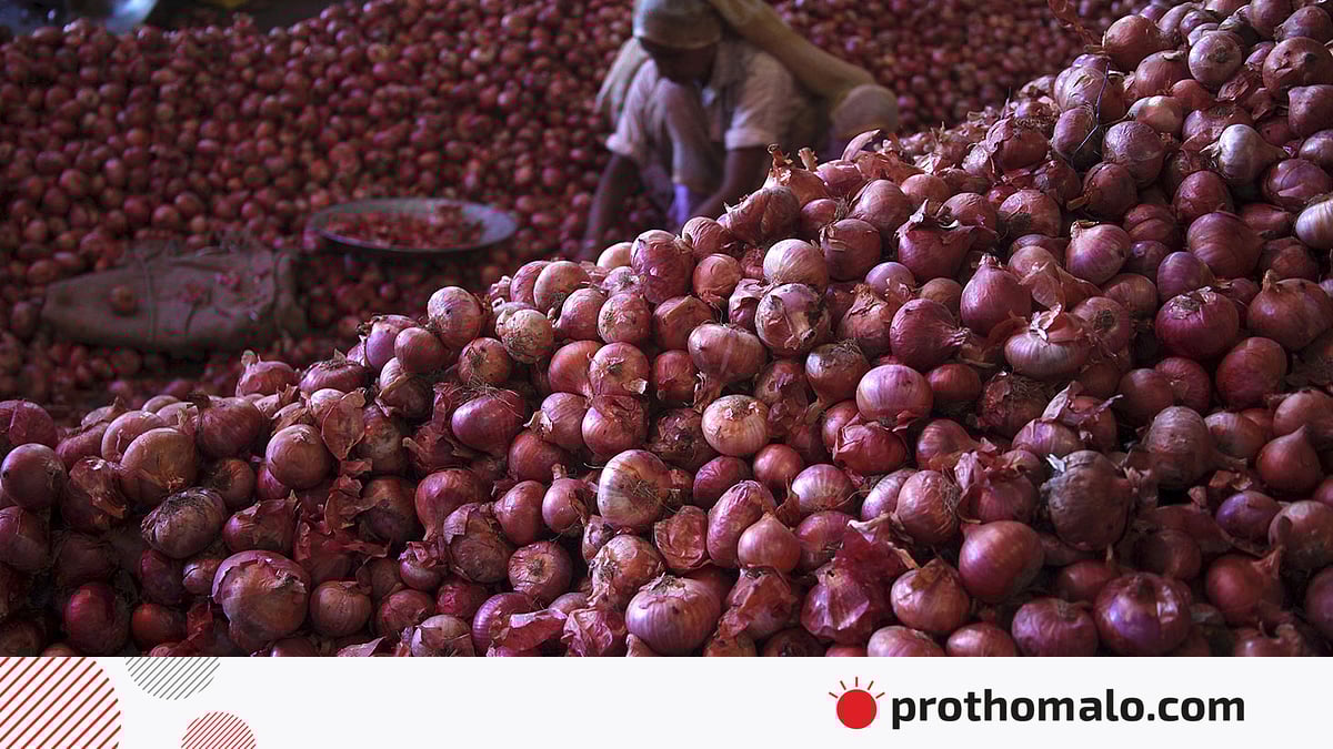 Novomoskovsk, Ukrainadan jinsiy aloqa uchun qizlar Yoyilgan dumba bilan katta eshak fotosurati