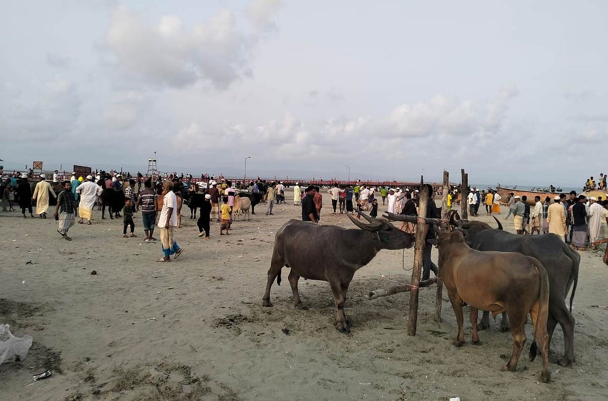 সেন্ট মার্টিন জেটির দক্ষিণ পাশে গত শনিবার বিকেলে বসে কোরবানির পশুর অস্থায়ী হাট। এতে হাতেগোনা কিছু পশু তোলা হয় বিক্রির জন্য