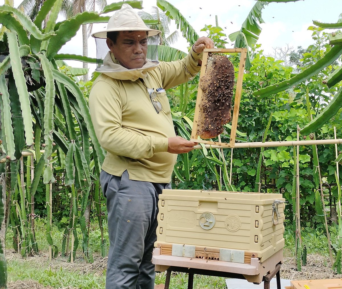 নিজের তৈরি মৌবাক্স থেকে মৌচাক বের করে মধুর পরিমাণ দেখছেন মৌচাষি কালাবাবু চাকমা। সম্প্রতি খাগড়াছড়ি সদরের মহাজনপাড়া এলাকায়