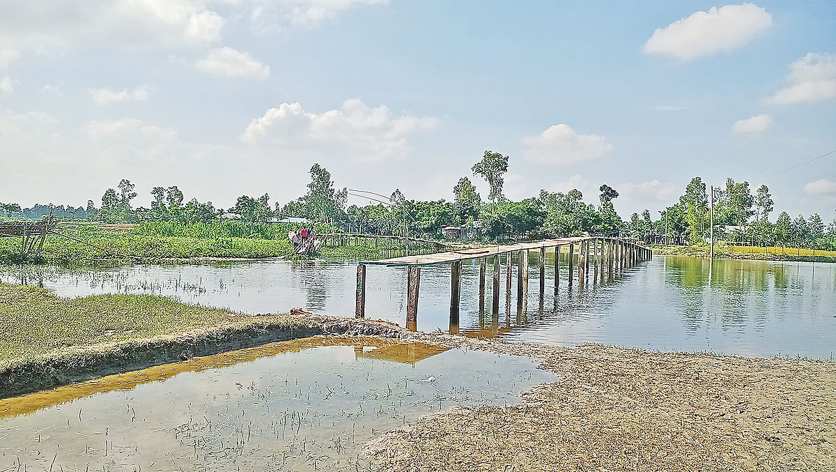 রংপুরের কাউনিয়ায় পূর্ব নাজিরদহ এলাকায় মানাস নদের ওপর নির্মিত ১৪০ ফুট লম্বা বাঁশের সাঁকোটি ভেঙে গেছে। এতে চলাচলে মানুষের ভোগান্তি দেখা দিয়েছে