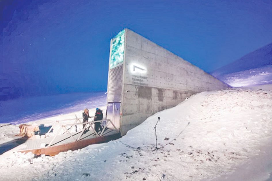 স্যালবার্ডের বৈশ্বিক বীজভাণ্ডার