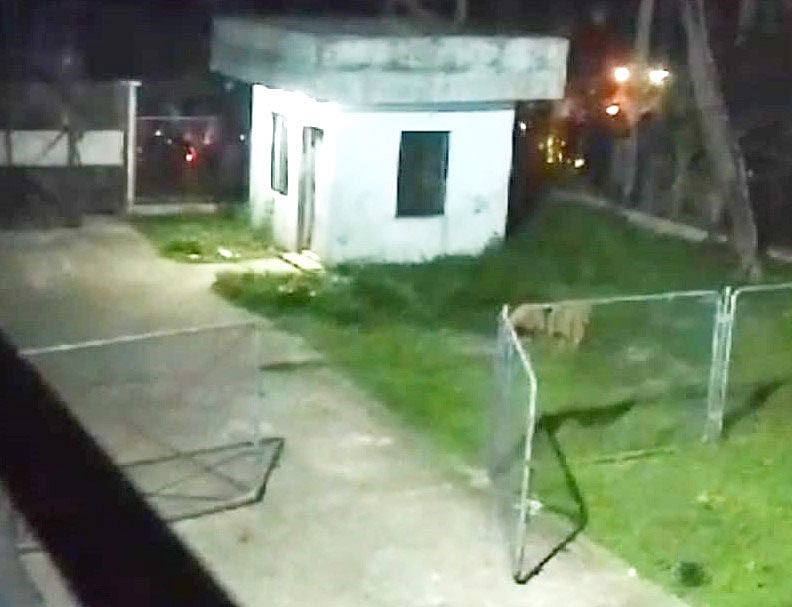 নোয়াখালীতে বিদ্যুতের দাবিতে হামলা-ভাঙচুরের শিকার নোয়াখালীর সেনবাগ উপজেলার নবীপুর ইউনিয়নের আইচের টেকে পল্লীবিদ্যুত সমিতির উপকেন্দ্র। গতকাল রাতে তোলা