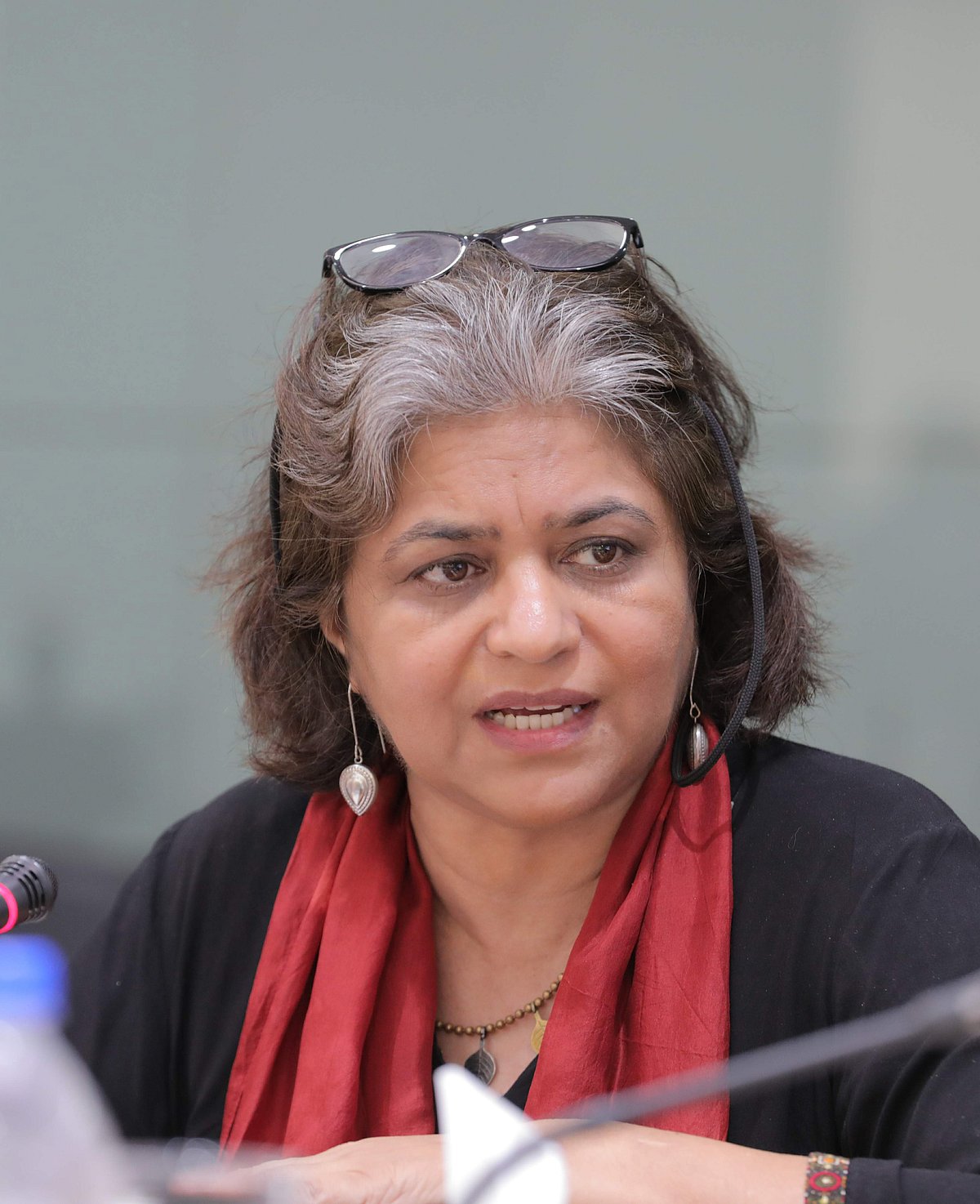 জ্যেষ্ঠ আইনজীবী ও মানবাধিকারকর্মী সারা হোসেন