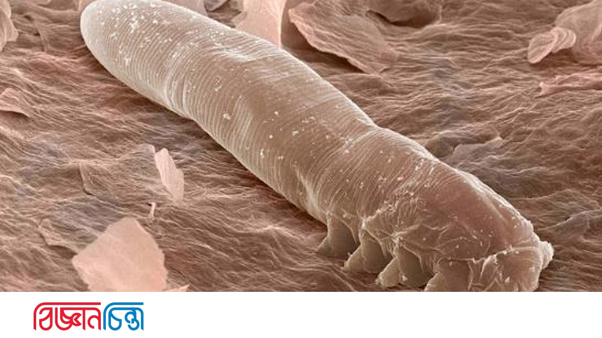 Kelinni zorlik bilan sikishadi Malinali qiz bilan jinsiy aloqa