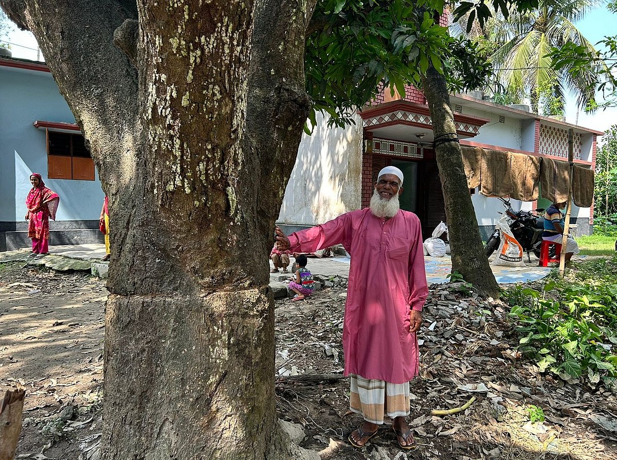 তিন বছর ধরে মোজাম্মেল হোসেনের আমগাছে বাঁধা বিদ্যুতের তার খুলে নিয়েছেন বিদ্যুৎ বিভাগের লোকজন। আজ সোমবার রাজশাহীর পবা উপজেলার মুরারীপুর গ্রামে