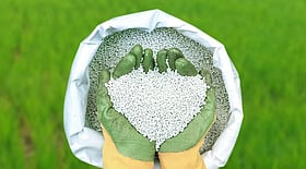 সার কিনতে নতুন উৎসের খোঁজ