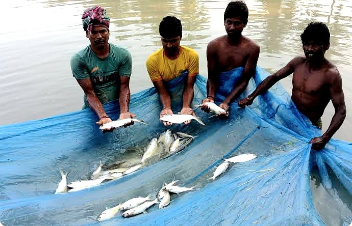 কাকদ্বীপে সাগরের উপকূলে ইলিশ হাতে জেলেরা