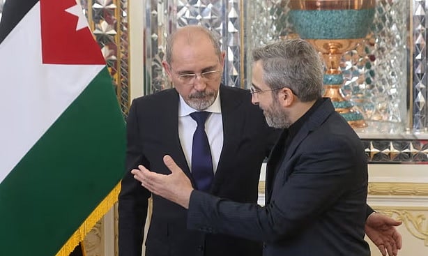 জর্ডানের পররাষ্ট্রমন্ত্রী আয়মান সাফাদি (বাঁয়ে) ও ইরানের ভারপ্রাপ্ত পররাষ্ট্রমন্ত্রী আলী বাগেরি কানি। সম্প্রতি তেহরানে