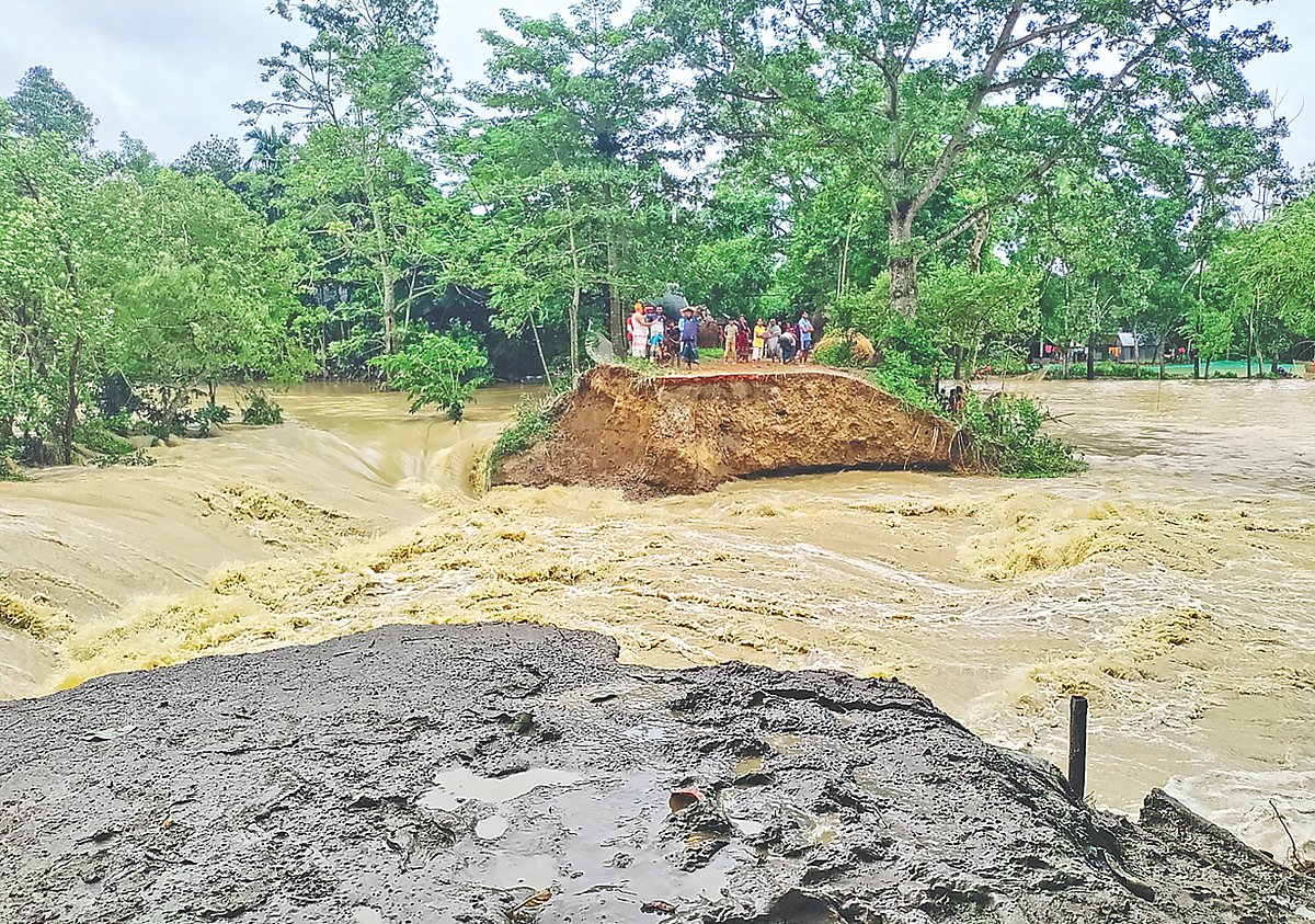 বানের তোড়ে ভেসে যাচ্ছে গাছগাছালি। ঝুঁকিপূর্ণ অবস্থায় অন্য গাছগুলো। গত ২২ আগস্ট ব্রাহ্মণবাড়িয়ার আখাউড়ার কর্নেল বাজার ইটনা এলাকায়