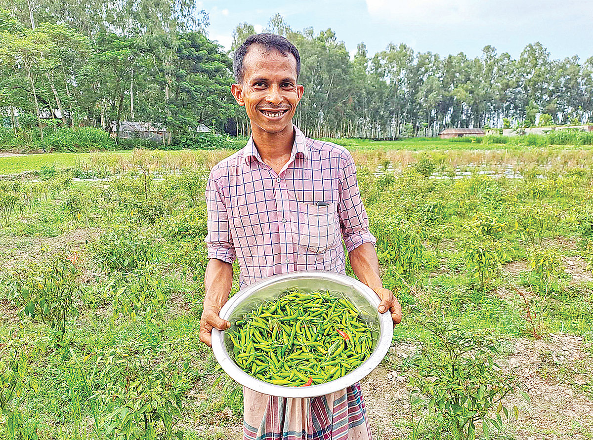 নিজের খেতের মরিচ হাতে অশোক কুমার। মঙ্গলবার গাইবান্ধার সাদুল্যাপুরের ছোট গয়েশপুর গ্রামে