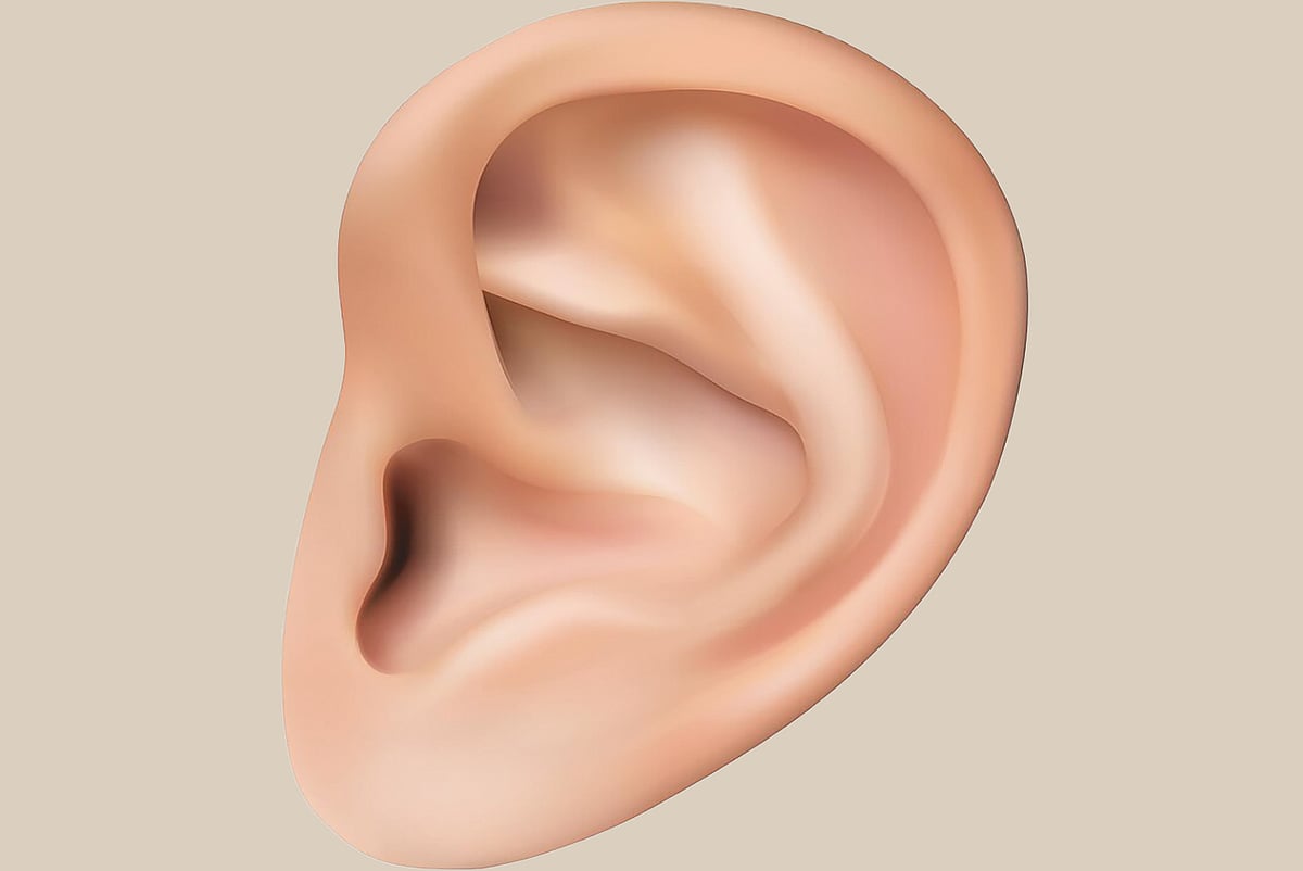 কানের প্রতীকী ছবি