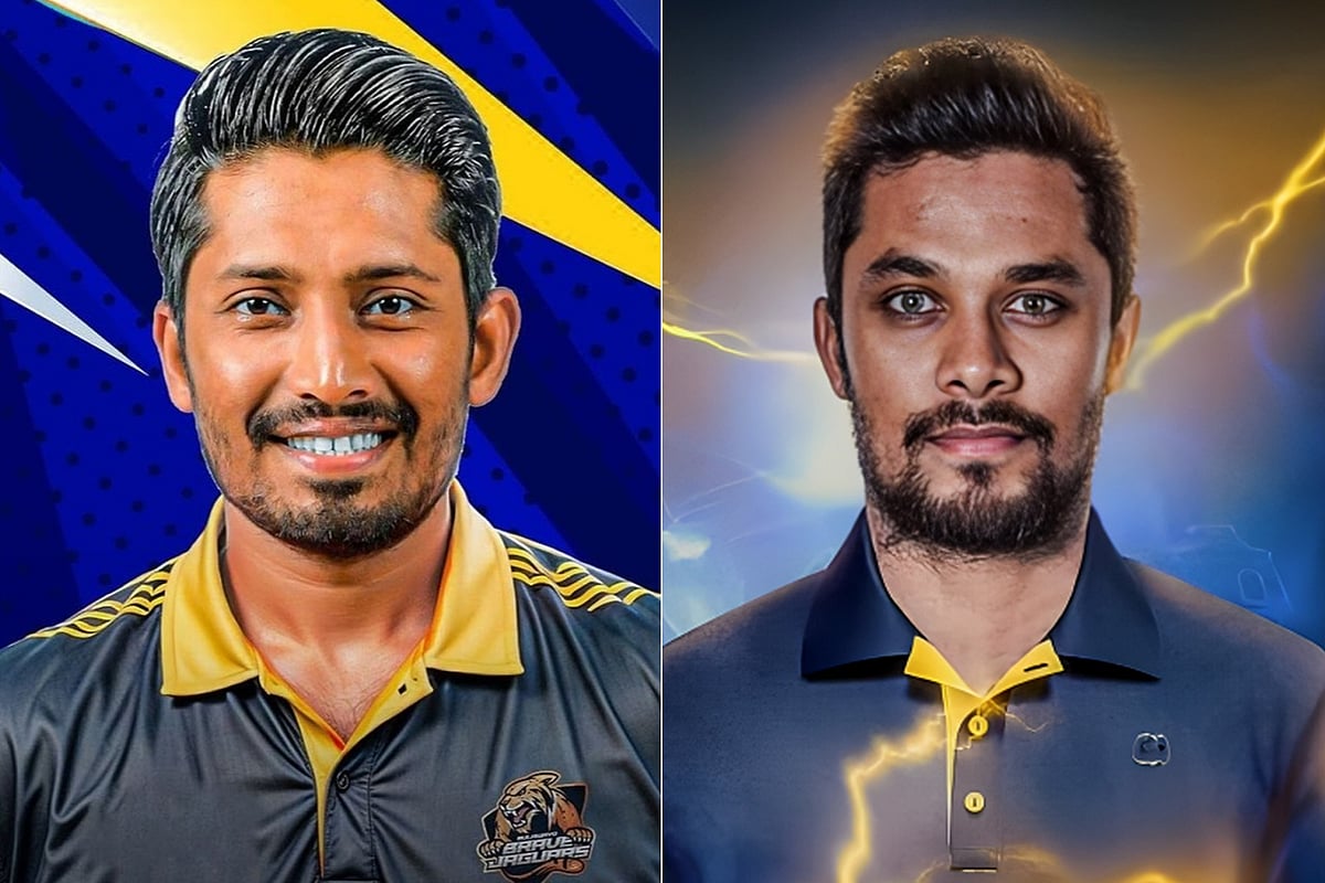 Jinsiy eshaklar foio