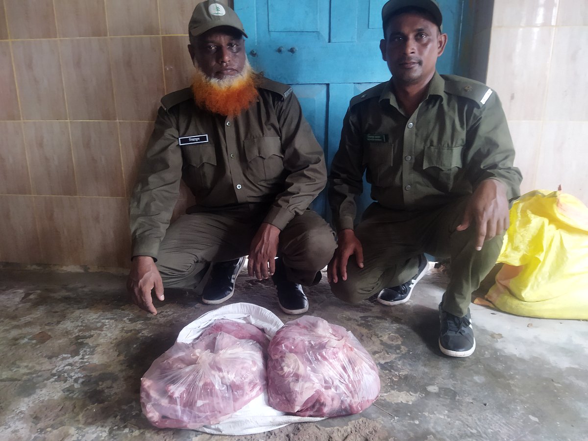 উদ্ধার হওয়া হরিণের মাংস আদালতে নিয়ে আসেন বনরক্ষীরা। মঙ্গলবার দুপুরে কয়রা আদালত ভবনের সামনে
