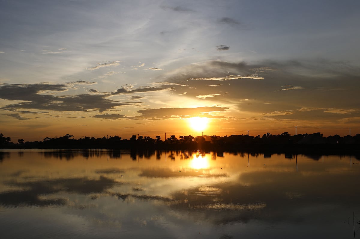 Dikni changyutgichga solib qoydi