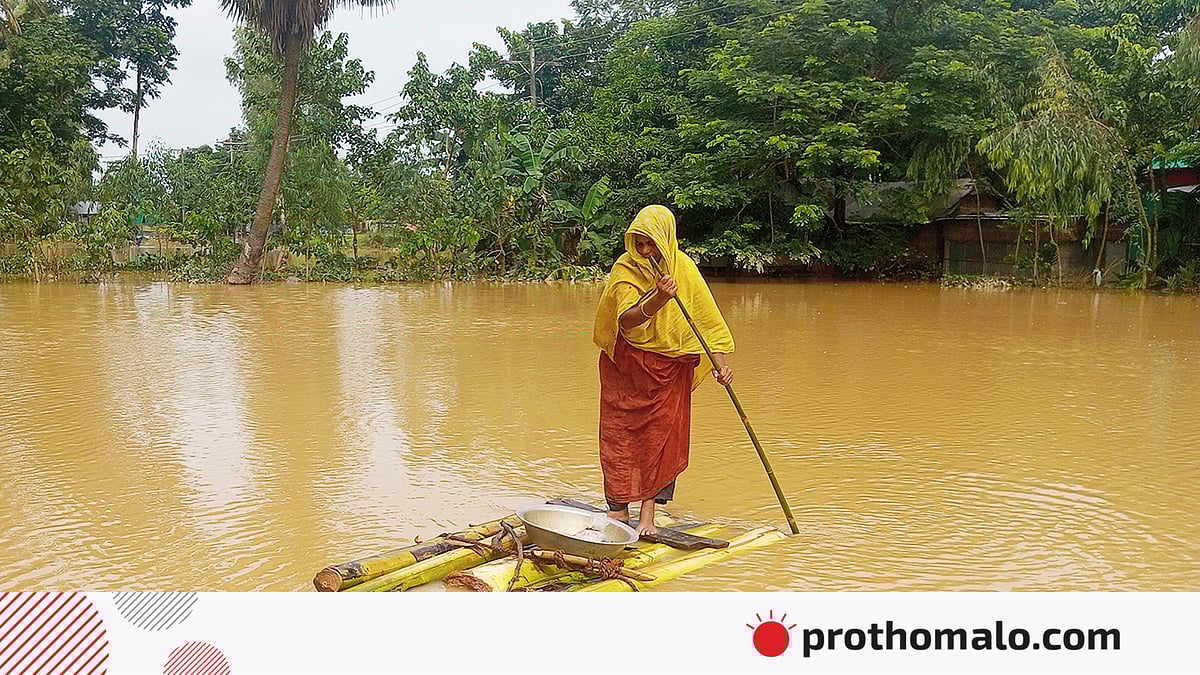 720-da shunchaki super porno Mushuk videodagi katta obektlar